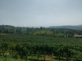 IMG20231011132500