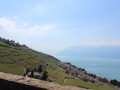 img_7571