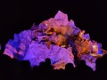 IMG_20220924_214346