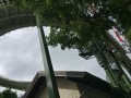 IMG_20190907_124848