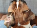 IMG-20220602-WA0006