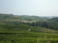 PXL_20250613_100944511