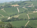 PXL_20250613_124523458