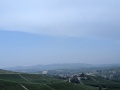 PXL_20250614_141602034