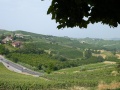 PXL_20250615_081247571