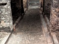PXL_20250615_082642608