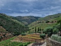 day2-noval-20240608_145651