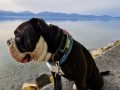 byron_20240407_094648