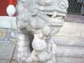 IMG-20200818-WA0013