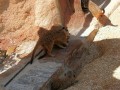 IMG-20200818-WA0065