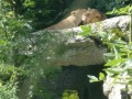 IMG_20200818_110547