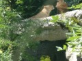 IMG_20200818_110548