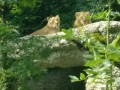 IMG_20200818_110608