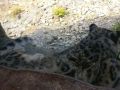 IMG_20200818_111355