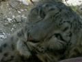 IMG_20200818_111502