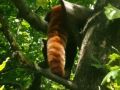 IMG_20200818_112600