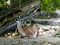 IMG_20200818_113356