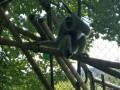 IMG_20200818_113712