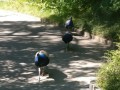 IMG_20200818_113934