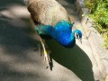 IMG_20200818_113949