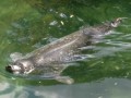 IMG_20200818_114226