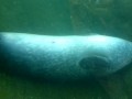 IMG_20200818_114814