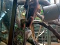 IMG_20200818_115101