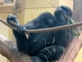 IMG_20200818_115457