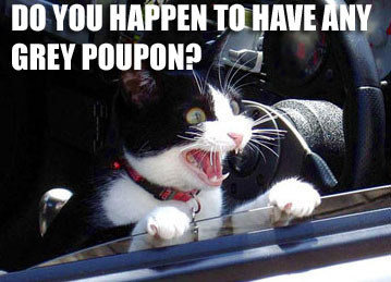 greypoupon