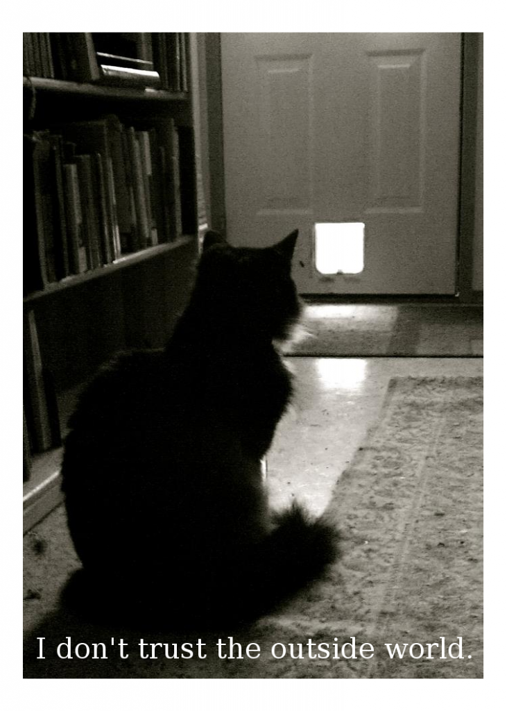 Henri Le Chat Noir, the existential cat The beaver is a proud and