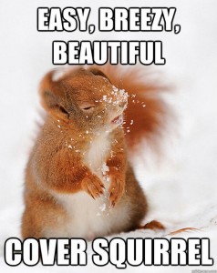 cover-squirrel