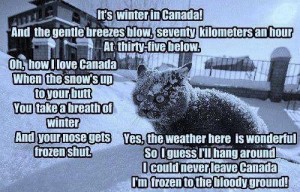 lolcat-frozenbut