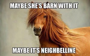 neighbelline