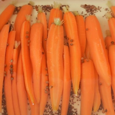 pickledcarrots