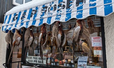 Village butcher's window display with pheasant hanging outside.