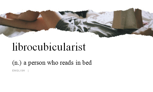 librocubicularist