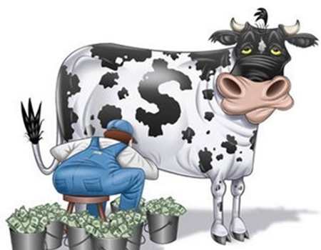 capitalism-cow