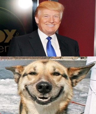 trump-dog