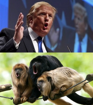 trump-monkey