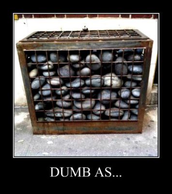 dumb-box-rocks