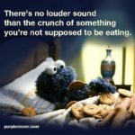 cookiemonster-noise (The Tao of sneaky snacks)