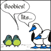 Save the boobies!