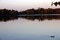 IMG_1840.jpg