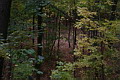 IMG_1985.jpg