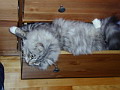 P1010003.jpg