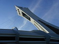 P1010004.jpg