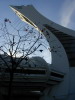P1010005.jpg