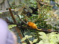 P1010006.jpg