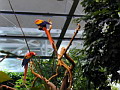 P1010007.jpg