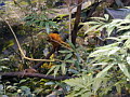 P1010008.jpg